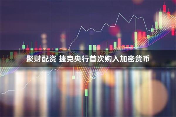 聚财配资 捷克央行首次购入加密货币