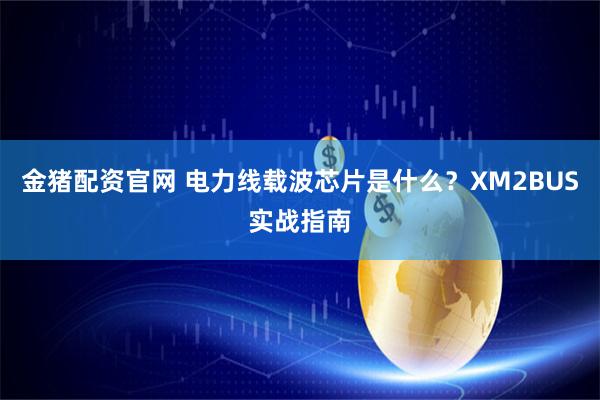 金猪配资官网 电力线载波芯片是什么？XM2BUS实战指南
